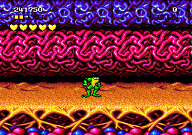 battletoads on genesis